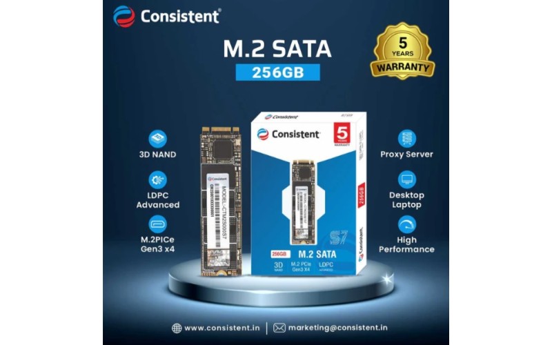 CONSISTENT SSD 256GB M.2