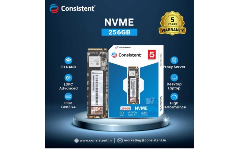 CONSISTENT SSD 256GB NVME
