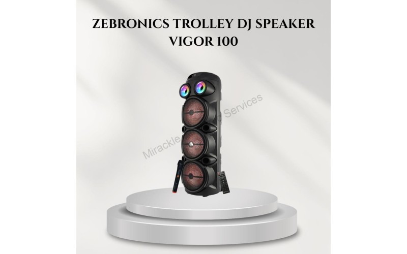 ZEBRONICS COMPUTER MM SPEAKER TROLLY VIGOR 100