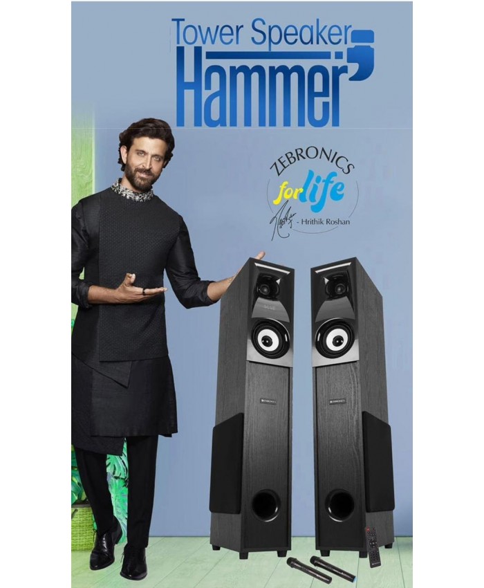 ZEBRONICS COMPUTER MM SPEAKER 2.0 TOWER HAMMER 702