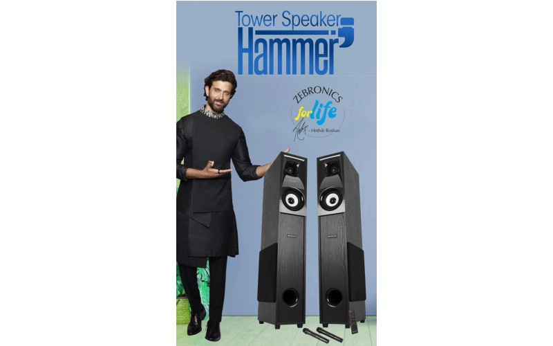 ZEBRONICS COMPUTER MM SPEAKER 2.0 TOWER HAMMER 702