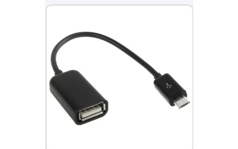 RANZ MICRO TO OTG CABLE
