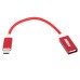 RANZ TYPE C TO OTG CABLE 