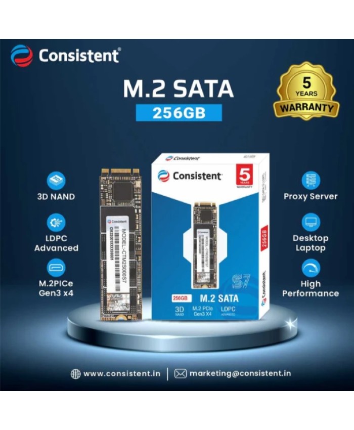 CONSISTENT SSD 256GB M.2