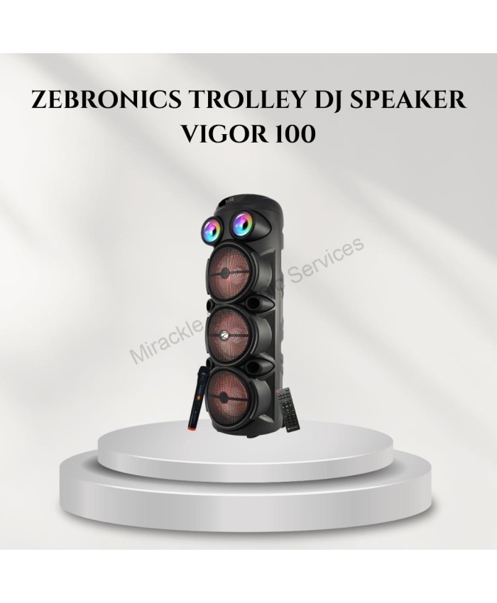ZEBRONICS COMPUTER MM SPEAKER TROLLY VIGOR 100