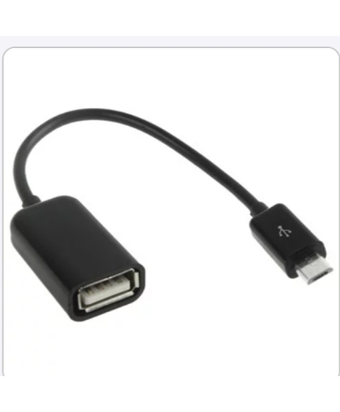 RANZ MICRO TO OTG CABLE